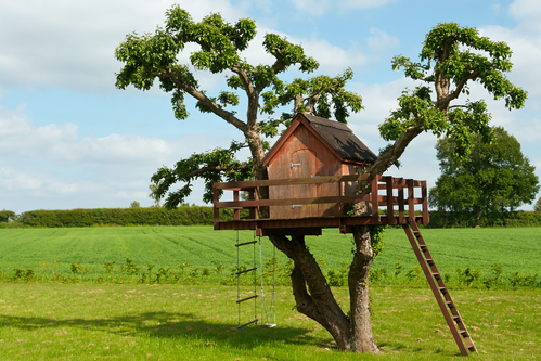 Vivere in una casa sull'albero in Piemonte come sarebbe